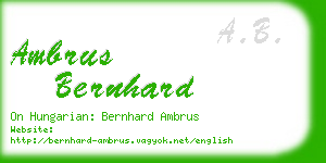 ambrus bernhard business card
